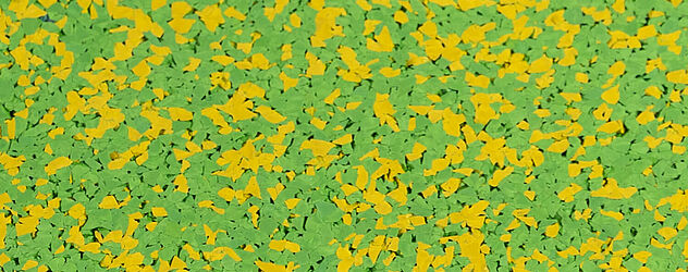 jaune illuminant/vert illuminant jaune illuminant/vert illuminant