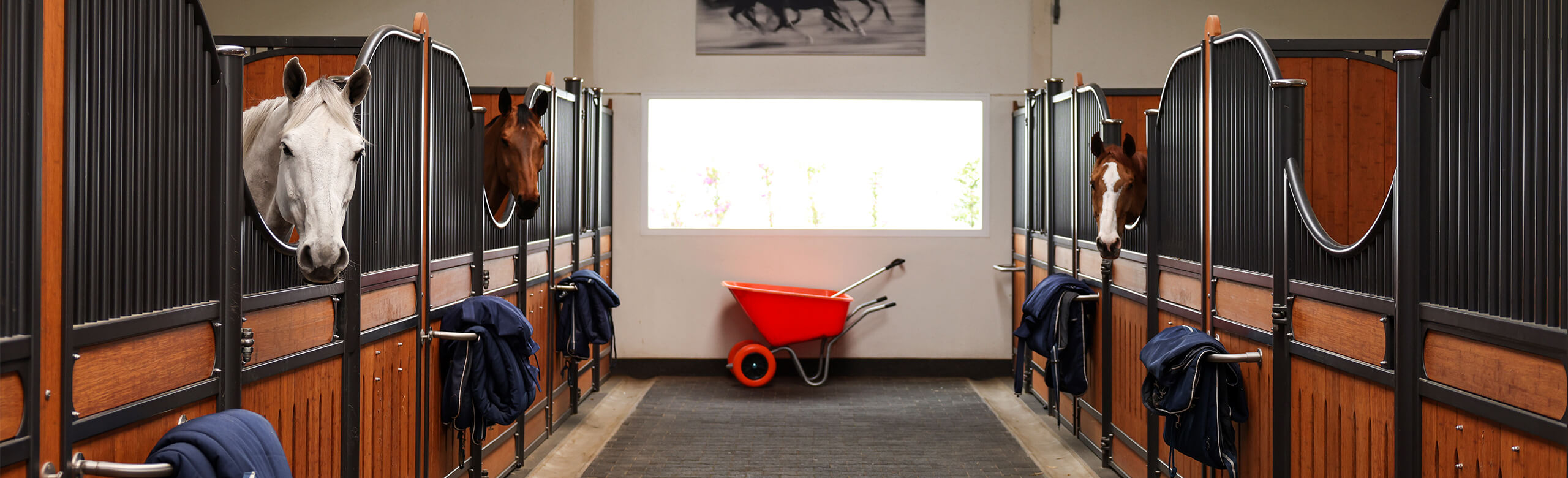 Ecurie avec tapis pour le box des chevaux