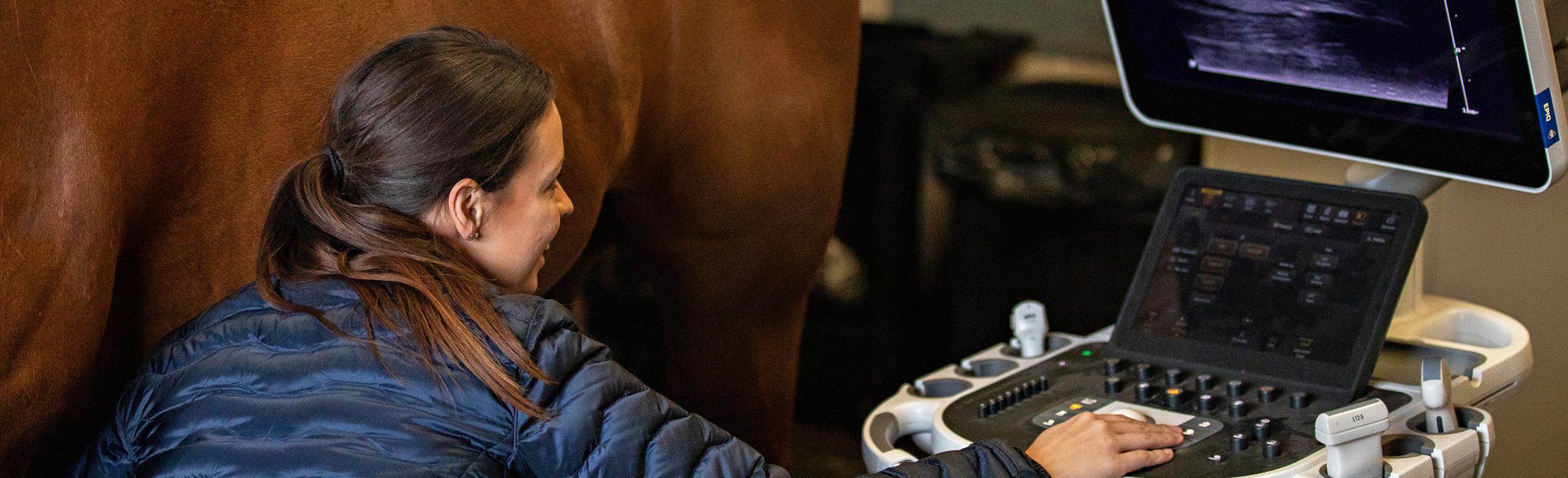 Cheval dans une clinique équine sur un sol antidérapant et durable REGUPOL equiline pour une sécurité et une hygiène optimales. Clinique équine avec revêtement de sol REGUPOL equiline pour chevaux