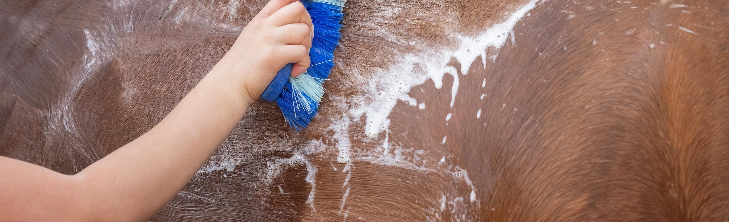 Aire de lavage pour chevaux avec revêtement REGUPOL equiline durable pour plus de sécurité et de confort.