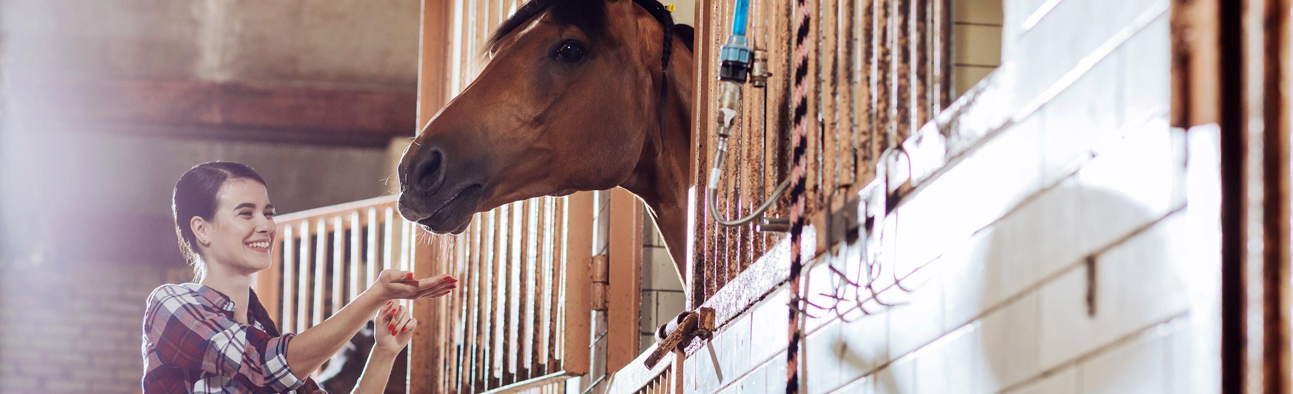 Femme souriante avec un cheval dans un box équipé d'un sol REGUPOL equiline