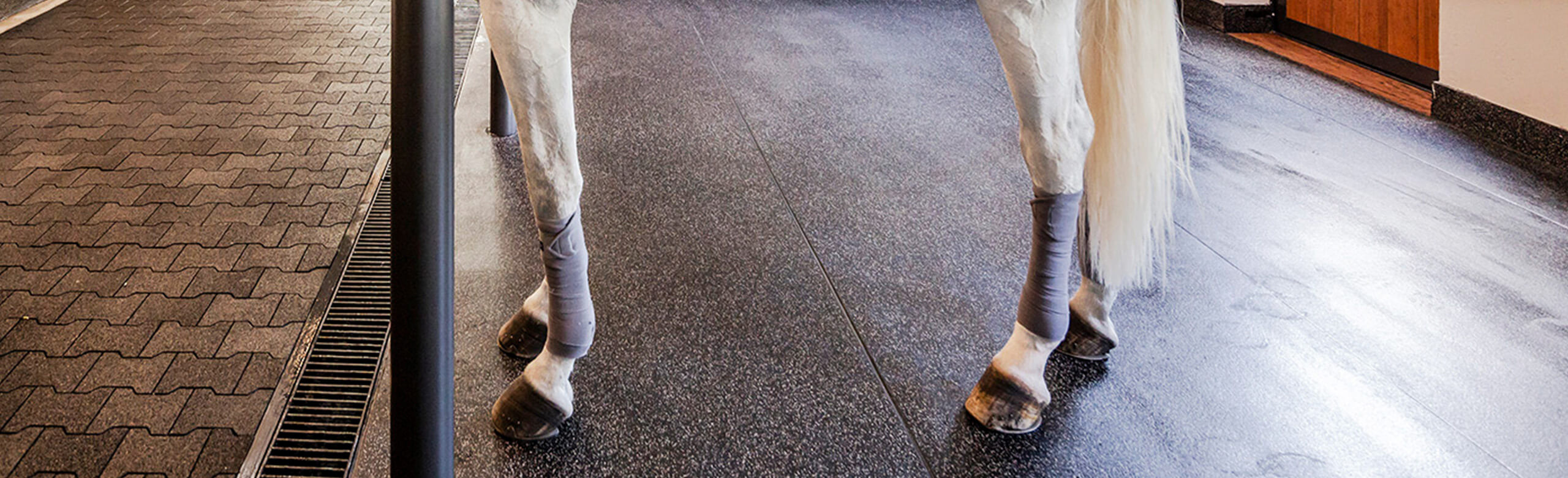 Un cheval se tient dans une écurie sur un tapis d'écurie en caoutchouc